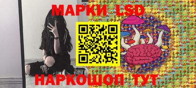 хмурый Дубна