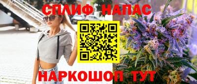хмурый Дубна