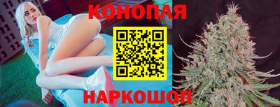 хмурый Дубна