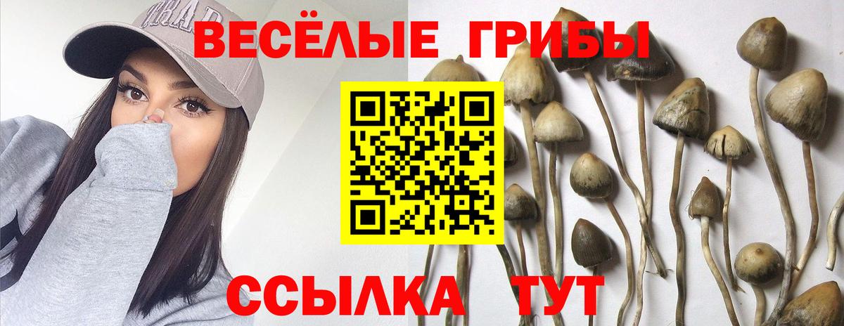 Галлюциногенные грибы ЛСД Малоярославец